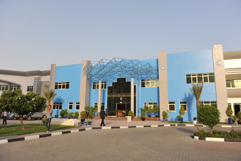 Marketing Plan- GEMS Wellington Schools Branding 